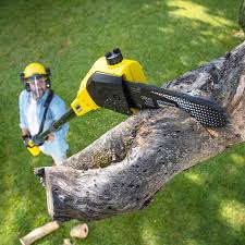 Best Lawn Disease Treatment  in Midland, WA